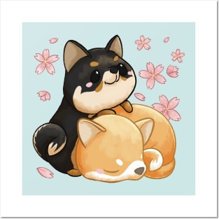 Shiba Inu and Cherry Blossoms Posters and Art